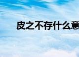 皮之不存什么意思（皮之不存的意思）