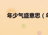 年少气盛意思（年少气盛意思简单介绍）