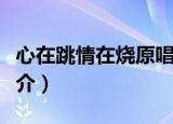 心在跳情在烧原唱歌词（心在跳情在烧歌曲简介）