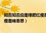 知否知否应是绿肥红瘦是什么意思呢（知否知否应是绿肥红瘦是啥意思）