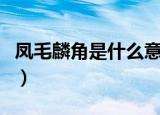凤毛麟角是什么意思呢（凤毛麟角的意思介绍）