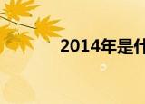 2014年是什么年（你知道吗）
