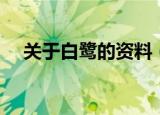 关于白鹭的资料（关于白鹭的资料简介）
