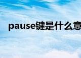 pause键是什么意思啊（pause键的意思）