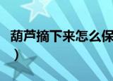 葫芦摘下来怎么保存不会烂（葫芦保存的方法）