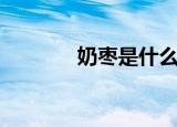 奶枣是什么东西（奶枣介绍）