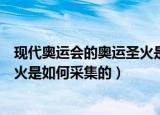 现代奥运会的奥运圣火是怎么采集的（现代奥运会的奥运圣火是如何采集的）