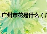 广州市花是什么（广州市花到底是什么花呢）