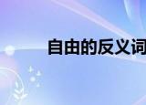 自由的反义词（自由是什么意思）