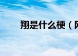 翔是什么梗（网络语翔是什么意思）