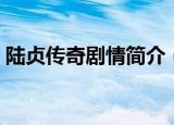 陆贞传奇剧情简介（陆贞传奇剧情简介描述）
