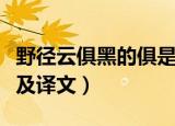 野径云俱黑的俱是什么意思（野径云俱黑原文及译文）