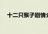 十二只猴子剧情介绍（该片的主演是谁）