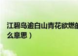江碧鸟逾白山青花欲燃的意思（江碧鸟逾白山青花欲燃是什么意思）