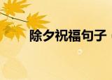 除夕祝福句子（除夕祝福句子精选）