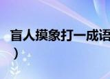 盲人摸象打一成语（盲人摸象打一成语是什么）
