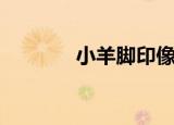 小羊脚印像什么（小羊介绍）