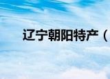 辽宁朝阳特产（辽宁朝阳特产有哪些）