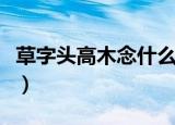 草字头高木念什么（草字头高木组成的字简介）