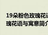 19朵粉色玫瑰花语和寓意（有关19朵粉色玫瑰花语与寓意简介）