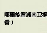 哪里能看湖南卫视直播（湖南卫视直播在哪里看）