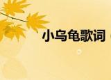 小乌龟歌词（小乌龟完整歌词）