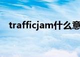 trafficjam什么意思（trafficjam的解释）