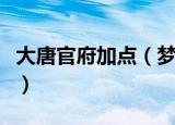 大唐官府加点（梦幻西游大唐官府加点全攻略）