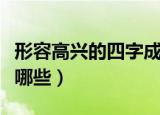 形容高兴的四字成语（形容高兴的四字成语有哪些）