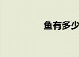 鱼有多少种（鱼的种类）