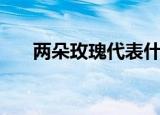 两朵玫瑰代表什么（两朵玫瑰的含义）