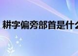耕字偏旁部首是什么（汉字耕的偏旁是什么）