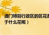 澳门特别行政区的区花是什么花（澳门特别行政区的区花属于什么花呢）
