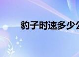 豹子时速多少公里（可以跑多少米）