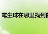 雮尘珠在哪里找到的（雮尘珠最后找到了吗）