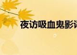 夜访吸血鬼影评（如何评价这部剧）