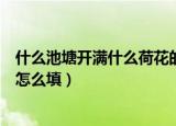 什么池塘开满什么荷花的填空（关于什么池塘开满什么荷花怎么填）