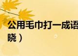 公用毛巾打一成语（公用毛巾打一成语答案揭晓）