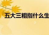 五大三粗指什么生肖（五大三粗指何生肖）
