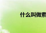 什么叫做素数（素数叫什么）