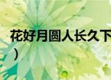 花好月圆人长久下一句是什么（花好月圆解释）