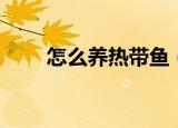 怎么养热带鱼（养热带鱼饲养方法）