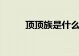 顶顶族是什么意思（顶顶族介绍）