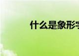 什么是象形字（象形字的定义）