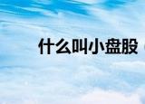 什么叫小盘股（小盘股的意思介绍）