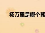 杨万里是哪个朝代的（是南宋的诗人）