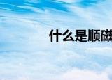 什么是顺磁性（顺磁性介绍）