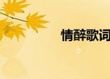情醉歌词（情醉歌简介）
