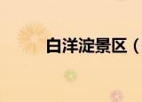 白洋淀景区（白洋淀景区的简介）