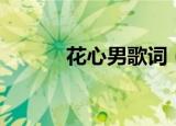 花心男歌词（花心男歌曲简介）